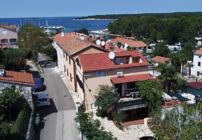 Apartment in Funtana - Apartment in Funtana with Seaview, Terrace, Air condition, WIFI (4879-2) Apartment in Funtana - Apartment in Funtana with Seaview, Terrace, Air condition, WIFI (4879-2)