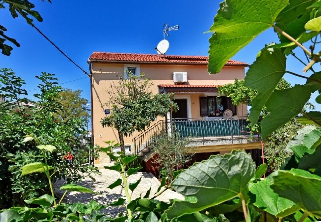 Apartment in Funtana - Apartment in Funtana with Seaview, Terrace, Air condition, WIFI (4879-2) Apartment in Funtana - Apartment in Funtana with Seaview, Terrace, Air condition, WIFI (4879-2)