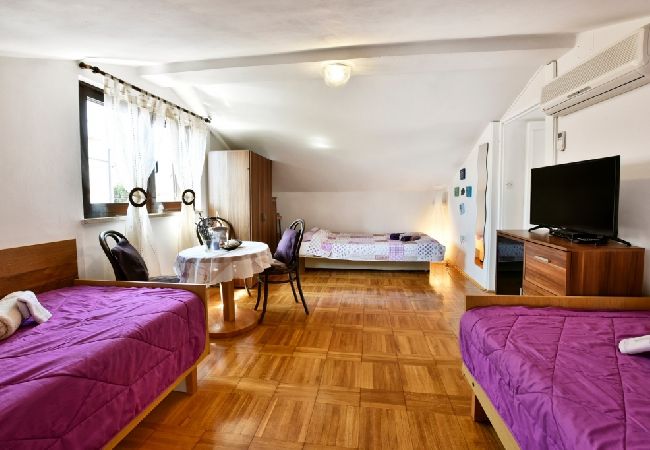 Apartment in Funtana - Apartment in Funtana with Seaview, Terrace, Air condition, WIFI (4879-2) Apartment in Funtana - Apartment in Funtana with Seaview, Terrace, Air condition, WIFI (4879-2)