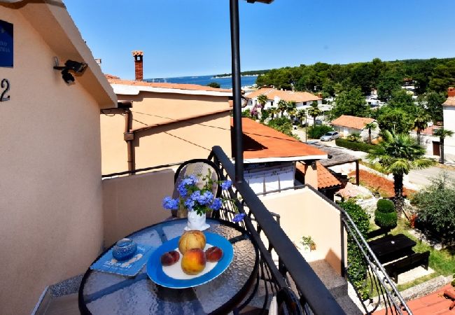 Apartment in Funtana - Apartment in Funtana with Seaview, Terrace, Air condition, WIFI (4879-2) Apartment in Funtana - Apartment in Funtana with Seaview, Terrace, Air condition, WIFI (4879-2)