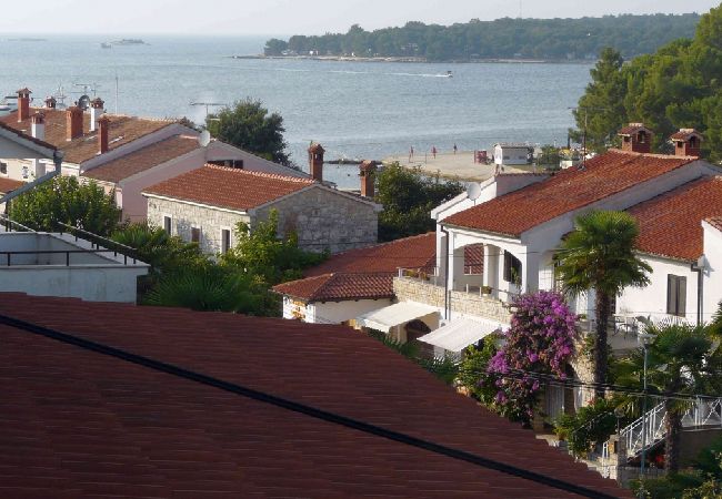 Apartment in Funtana - Apartment in Funtana with Seaview, Terrace, Air condition, WIFI (4879-2) Apartment in Funtana - Apartment in Funtana with Seaview, Terrace, Air condition, WIFI (4879-2)