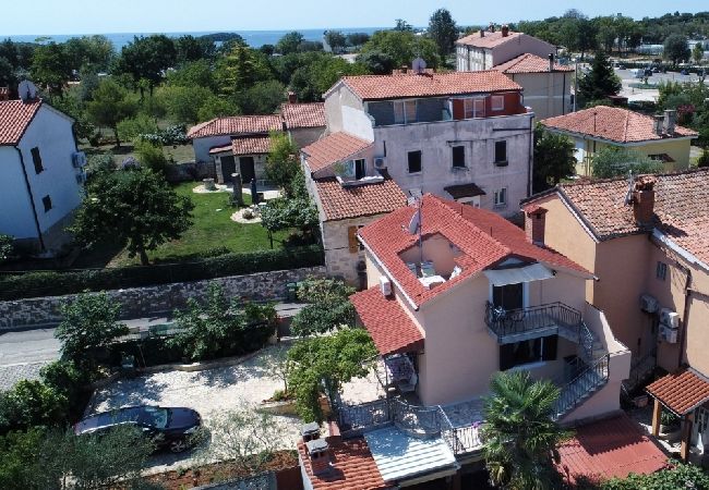 Apartment in Funtana - Apartment in Funtana with Seaview, Terrace, Air condition, WIFI (4879-2) Apartment in Funtana - Apartment in Funtana with Seaview, Terrace, Air condition, WIFI (4879-2)