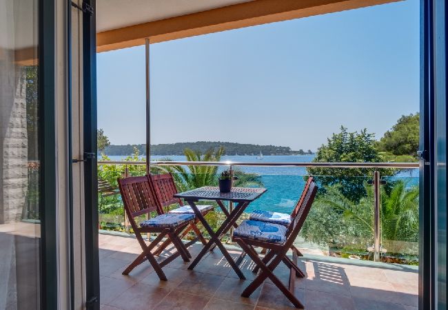 Apartment in Mali Lošinj - Apartment in Mali Lošinj with Seaview, Balcony, Air condition, WIFI (4896-4) Apartment in Mali Lošinj - Apartment in Mali Lošinj with Seaview, Balcony, Air condition, WIFI (4896-4)
