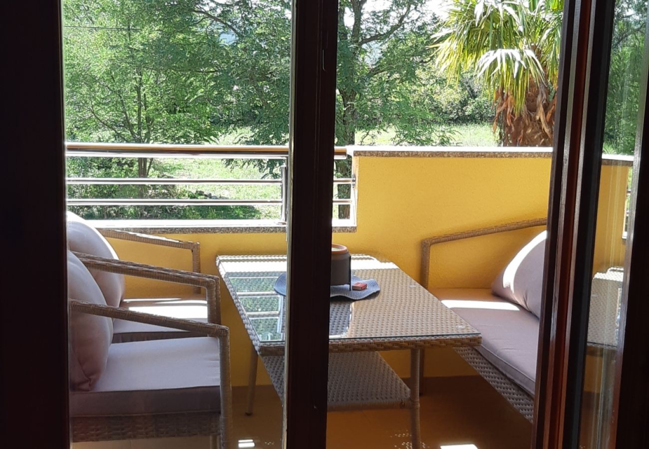 Apartment in Roc - Apartment in Roč with Balcony, Air condition, WIFI, Washing machine (4909-1)