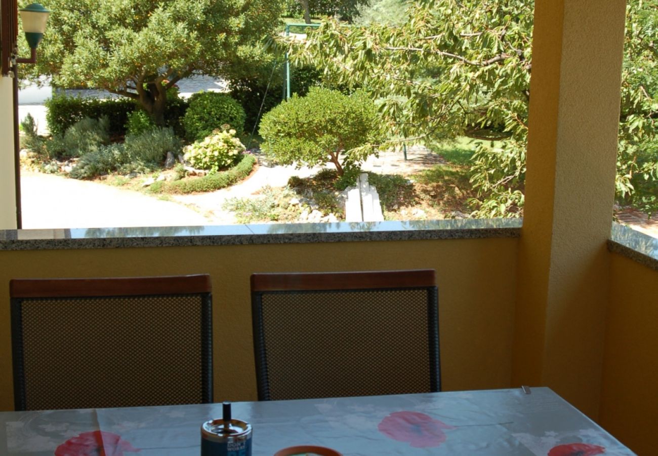 Apartment in Roc - Apartment in Roč with Balcony, Air condition, WIFI, Washing machine (4909-1)