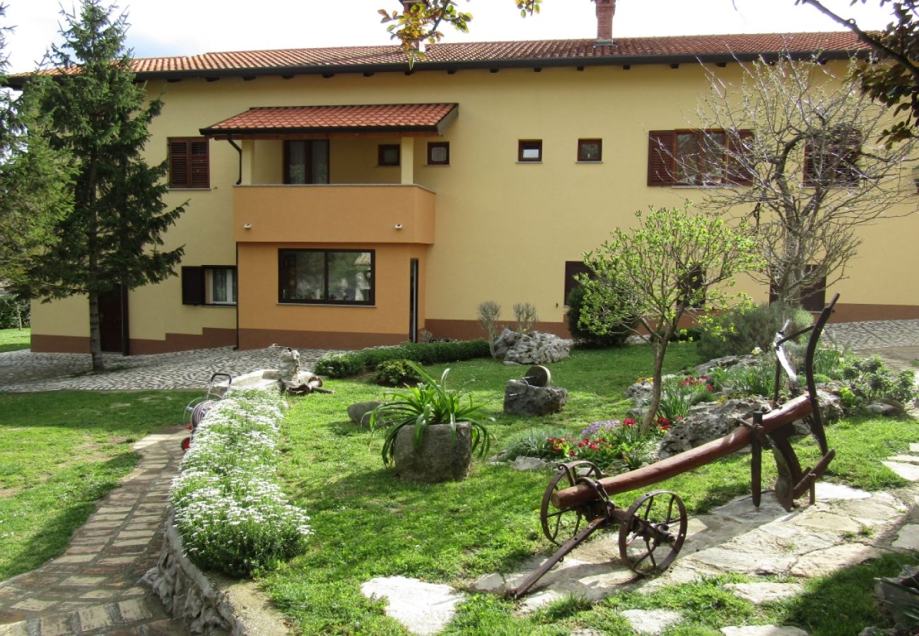 Apartment in Roc - Apartment in Roč with Balcony, Air condition, WIFI, Washing machine (4909-1)