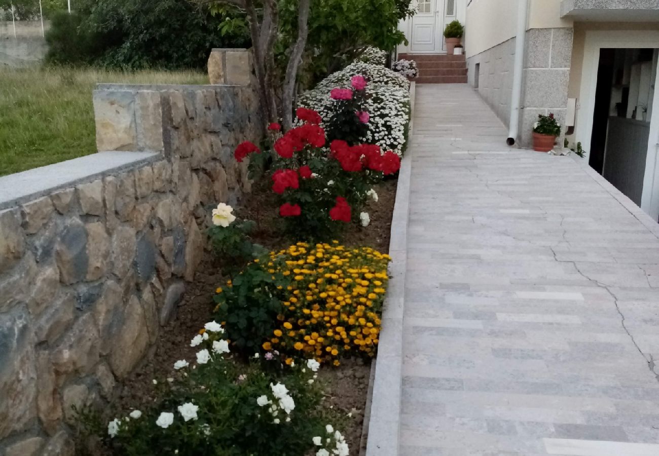 Apartment in Banjol - Apartment in Banjol with Balcony, Air condition, WIFI, Dishwasher (4888-1)