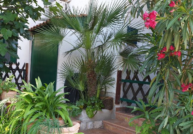 Studio in Mali Lošinj - Studio apartment in Mali Lošinj with Terrace, Air condition, WIFI (4913-2) Studio in Mali Lošinj - Studio apartment in Mali Lošinj with Terrace, Air condition, WIFI (4913-2)