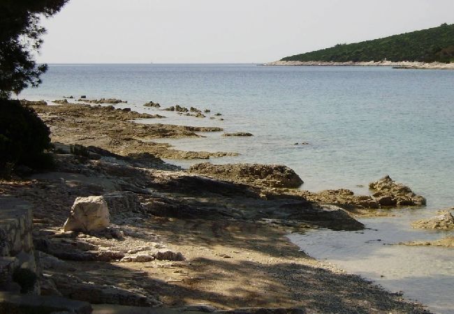 Studio in Mali Lošinj - Studio apartment in Mali Lošinj with Terrace, Air condition, WIFI (4913-2) Studio in Mali Lošinj - Studio apartment in Mali Lošinj with Terrace, Air condition, WIFI (4913-2)