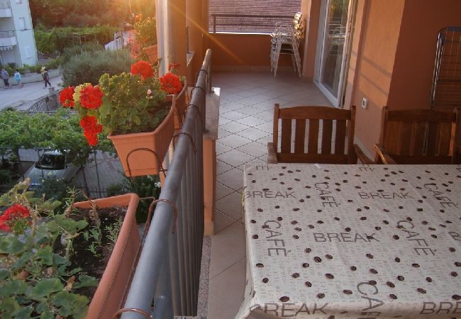 Apartment in Sukošan - Apartment in Sukošan with Balcony, Air condition, WIFI (4941-5) Apartment in Sukošan - Apartment in Sukošan with Balcony, Air condition, WIFI (4941-5)