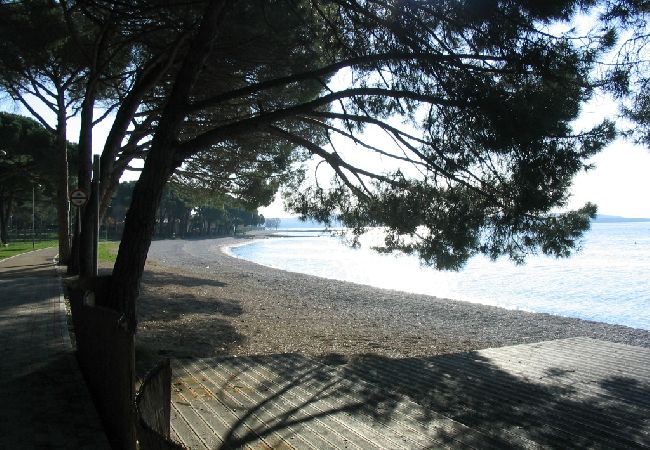 Apartment in Fažana - Apartment in Fažana with Terrace, Air condition, WIFI, Washing machine (4957-1) Apartment in Fažana - Apartment in Fažana with Terrace, Air condition, WIFI, Washing machine (4957-1)