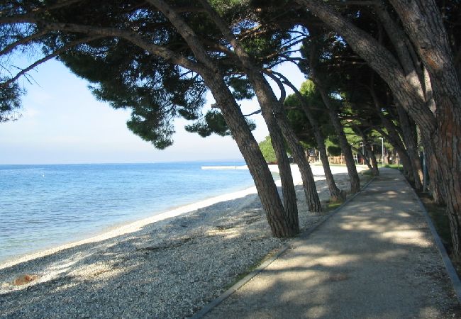 Apartment in Fažana - Apartment in Fažana with Terrace, Air condition, WIFI, Washing machine (4957-1) Apartment in Fažana - Apartment in Fažana with Terrace, Air condition, WIFI, Washing machine (4957-1)