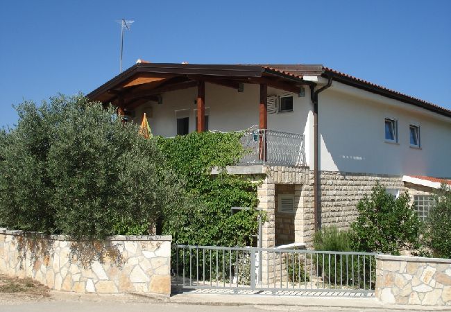 Apartment in Drage - Apartment in Drage with Terrace, Air condition, WIFI (5013-5) Apartment in Drage - Apartment in Drage with Terrace, Air condition, WIFI (5013-5)