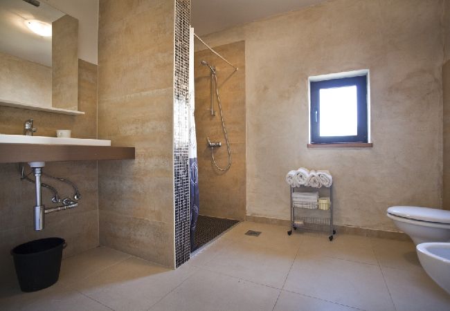 Apartment in Funtana - Apartment in Funtana with Balcony, Air condition, WIFI, Washing machine (4982-1) Apartment in Funtana - Apartment in Funtana with Balcony, Air condition, WIFI, Washing machine (4982-1)