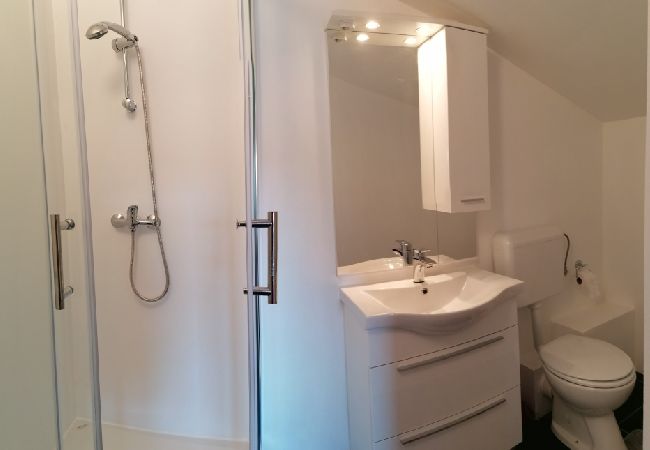 Studio in Funtana - Studio apartment in Funtana with Air condition, WIFI, Washing machine (4982-4) Studio in Funtana - Studio apartment in Funtana with Air condition, WIFI, Washing machine (4982-4)