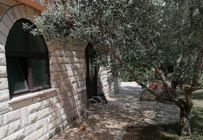 Apartment in Funtana - Apartment in Funtana with Terrace, Air condition, WIFI, Washing machine (4990-2) Apartment in Funtana - Apartment in Funtana with Terrace, Air condition, WIFI, Washing machine (4990-2)