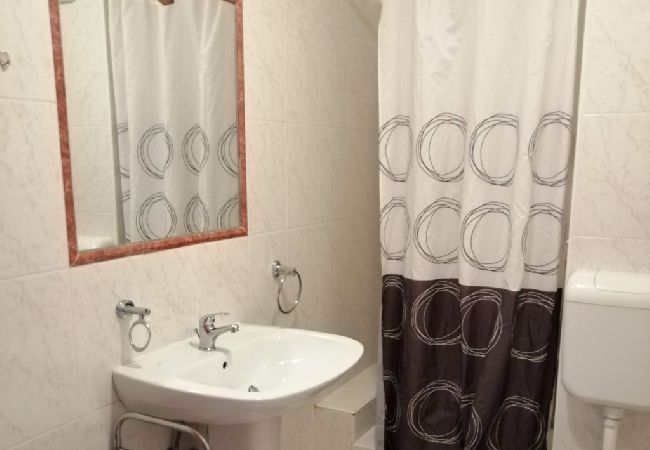 Apartment in Funtana - Apartment in Funtana with Terrace, Air condition, WIFI, Washing machine (4982-5) Apartment in Funtana - Apartment in Funtana with Terrace, Air condition, WIFI, Washing machine (4982-5)