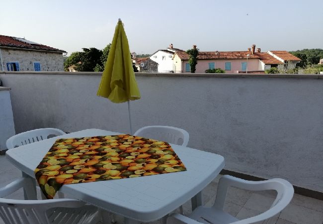 Apartment in Funtana - Apartment in Funtana with Terrace, Air condition, WIFI, Washing machine (4982-5) Apartment in Funtana - Apartment in Funtana with Terrace, Air condition, WIFI, Washing machine (4982-5)