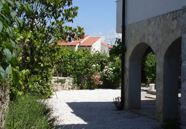 Apartment in Funtana - Apartment in Funtana with Terrace, Air condition, WIFI, Washing machine (4982-5) Apartment in Funtana - Apartment in Funtana with Terrace, Air condition, WIFI, Washing machine (4982-5)