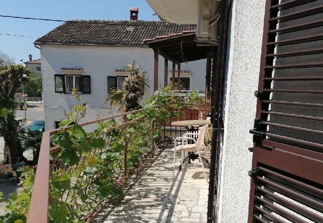 Apartment in Funtana - Apartment in Funtana with Balcony, Air condition, WIFI, Washing machine (4982-10) Apartment in Funtana - Apartment in Funtana with Balcony, Air condition, WIFI, Washing machine (4982-10)