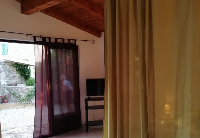 Apartment in Funtana - Apartment in Funtana with Terrace, Air condition, WIFI, Washing machine (4982-6) Apartment in Funtana - Apartment in Funtana with Terrace, Air condition, WIFI, Washing machine (4982-6)