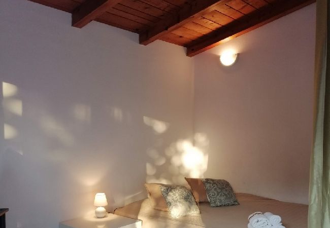 Apartment in Funtana - Apartment in Funtana with Terrace, Air condition, WIFI, Washing machine (4982-6) Apartment in Funtana - Apartment in Funtana with Terrace, Air condition, WIFI, Washing machine (4982-6)