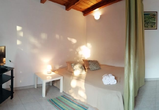 Apartment in Funtana - Apartment in Funtana with Terrace, Air condition, WIFI, Washing machine (4982-6) Apartment in Funtana - Apartment in Funtana with Terrace, Air condition, WIFI, Washing machine (4982-6)