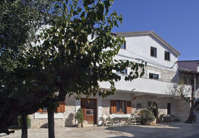 Apartment in Funtana - Apartment in Funtana with Terrace, Air condition, WIFI, Washing machine (4982-6) Apartment in Funtana - Apartment in Funtana with Terrace, Air condition, WIFI, Washing machine (4982-6)