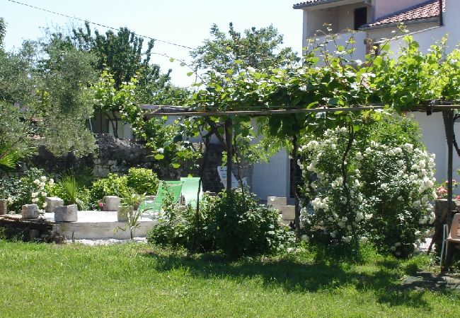 Apartment in Funtana - Apartment in Funtana with Terrace, Air condition, WIFI, Washing machine (4982-7) Apartment in Funtana - Apartment in Funtana with Terrace, Air condition, WIFI, Washing machine (4982-7)