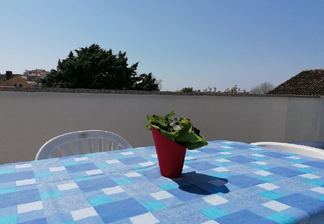 Apartment in Funtana - Apartment in Funtana with Balcony, Air condition, WIFI, Washing machine (4982-9) Apartment in Funtana - Apartment in Funtana with Balcony, Air condition, WIFI, Washing machine (4982-9)