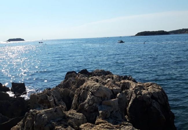 Apartment in Funtana - Apartment in Funtana with Balcony, Air condition, WIFI, Washing machine (4982-9) Apartment in Funtana - Apartment in Funtana with Balcony, Air condition, WIFI, Washing machine (4982-9)