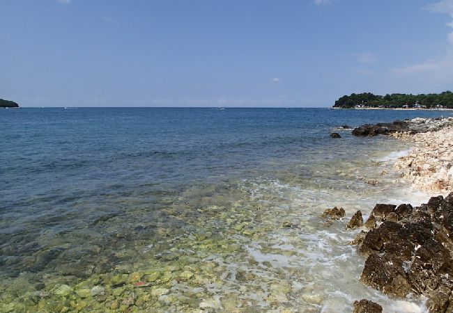 Apartment in Funtana - Apartment in Funtana with Balcony, Air condition, WIFI, Washing machine (4982-9) Apartment in Funtana - Apartment in Funtana with Balcony, Air condition, WIFI, Washing machine (4982-9)