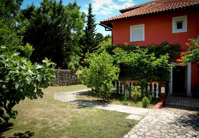 Apartment in Lopar - Apartment in Lopar with Seaview, Terrace, Air condition, WIFI (4229-1) Apartment in Lopar - Apartment in Lopar with Seaview, Terrace, Air condition, WIFI (4229-1)