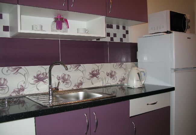 Apartment in Lopar - Apartment in Lopar with Terrace, Air condition, WIFI, Washing machine (4229-3) Apartment in Lopar - Apartment in Lopar with Terrace, Air condition, WIFI, Washing machine (4229-3)