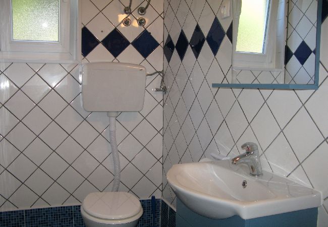 Apartment in Lopar - Apartment in Lopar with Terrace, Air condition, WIFI, Washing machine (4229-3) Apartment in Lopar - Apartment in Lopar with Terrace, Air condition, WIFI, Washing machine (4229-3)