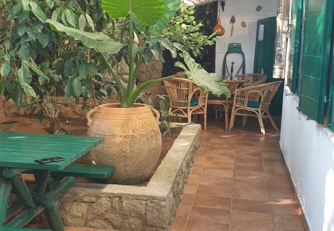 Apartment in Mali Lošinj - Apartment in Mali Lošinj with Terrace, Air condition, WIFI, Washing machine (4913-3) Apartment in Mali Lošinj - Apartment in Mali Lošinj with Terrace, Air condition, WIFI, Washing machine (4913-3)
