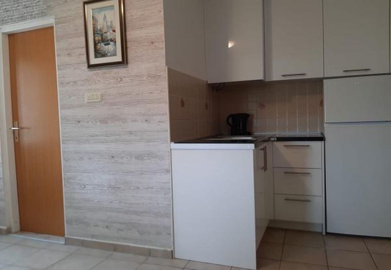 Apartment in Tribunj - Apartment in Tribunj with Air condition, WIFI (5038-1)