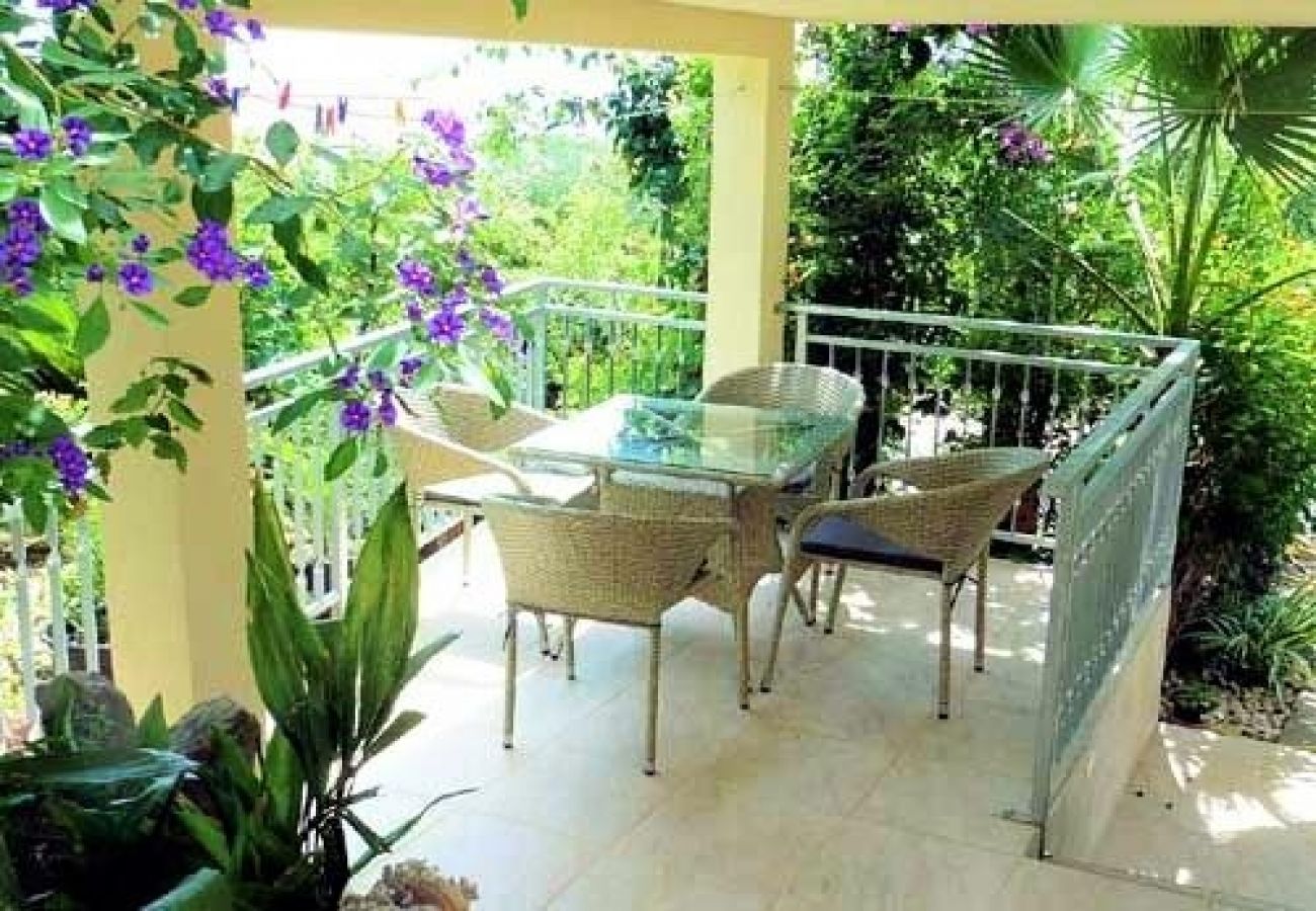 Apartment in Okrug Gornji - Apartment in Okrug Gornji with Seaview, Terrace, Air condition, WIFI (5046-1)