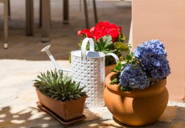 Apartment in Trogir - Apartment in Trogir with Seaview, Balcony, Air condition, WIFI (5058-1) Apartment in Trogir - Apartment in Trogir with Seaview, Balcony, Air condition, WIFI (5058-1)