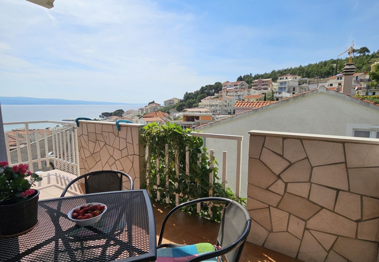 Studio in Duce - Studio apartment in Duće with Seaview, Balcony, Air condition, WIFI (5067-6)