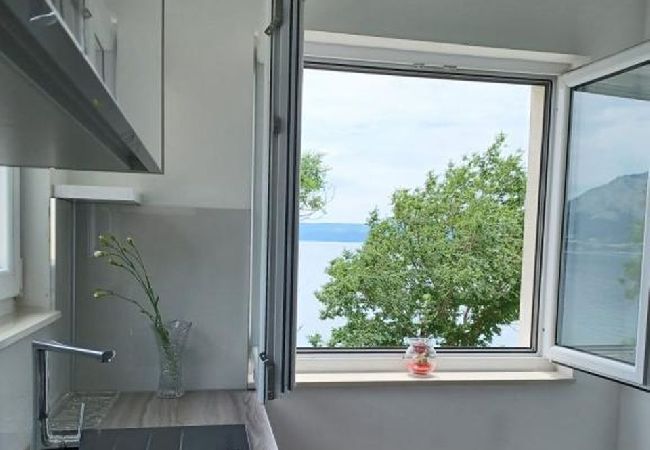 Apartment in Duce - Apartment in Duće with Seaview, Terrace, Air condition, WIFI (5064-1) Apartment in Duce - Apartment in Duće with Seaview, Terrace, Air condition, WIFI (5064-1)