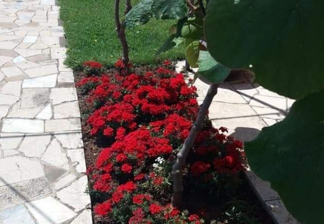 Apartment in Vrvari - Apartment in Vrvari with Balcony, Air condition, WIFI, Washing machine (664-3) Apartment in Vrvari - Apartment in Vrvari with Balcony, Air condition, WIFI, Washing machine (664-3)