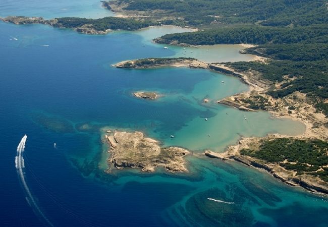 Rent by room in Lopar - Room in Lopar with Terrace, Air condition, WIFI (3719-6) Rent by room in Lopar - Room in Lopar with Terrace, Air condition, WIFI (3719-6)