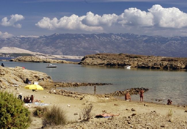 Rent by room in Lopar - Room in Lopar with Terrace, Air condition, WIFI (3719-6) Rent by room in Lopar - Room in Lopar with Terrace, Air condition, WIFI (3719-6)