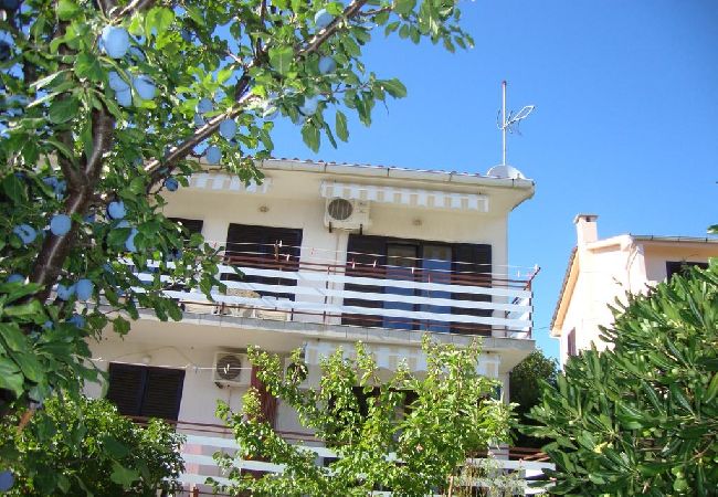Apartment in Cres - Apartment in Cres with Balcony, Air condition, WIFI, Washing machine (4249-3) Apartment in Cres - Apartment in Cres with Balcony, Air condition, WIFI, Washing machine (4249-3)