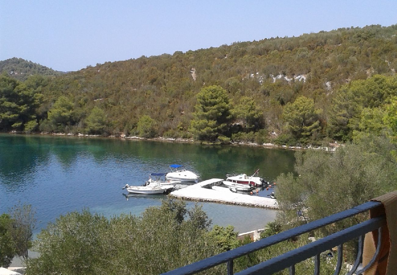 Rent by room in Luka - Room in Luka with Seaview, Balcony, Air condition, WIFI (4659-3)