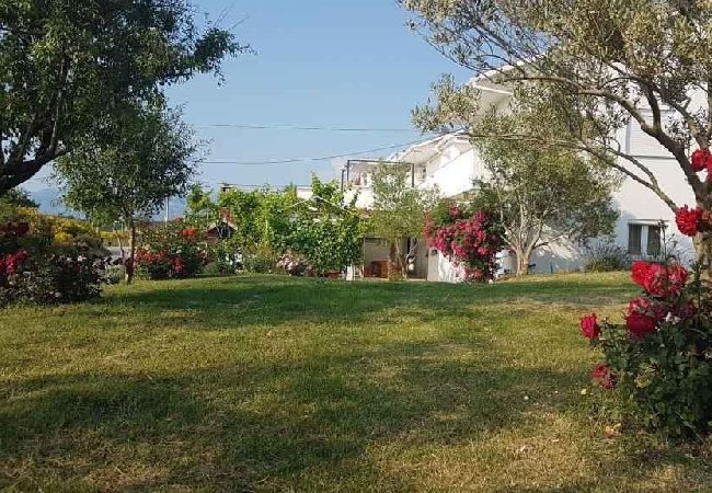 Apartment in Ljubac - Apartment in Ljubač with Seaview, Balcony, Air condition, WIFI (809-2) Apartment in Ljubac - Apartment in Ljubač with Seaview, Balcony, Air condition, WIFI (809-2)