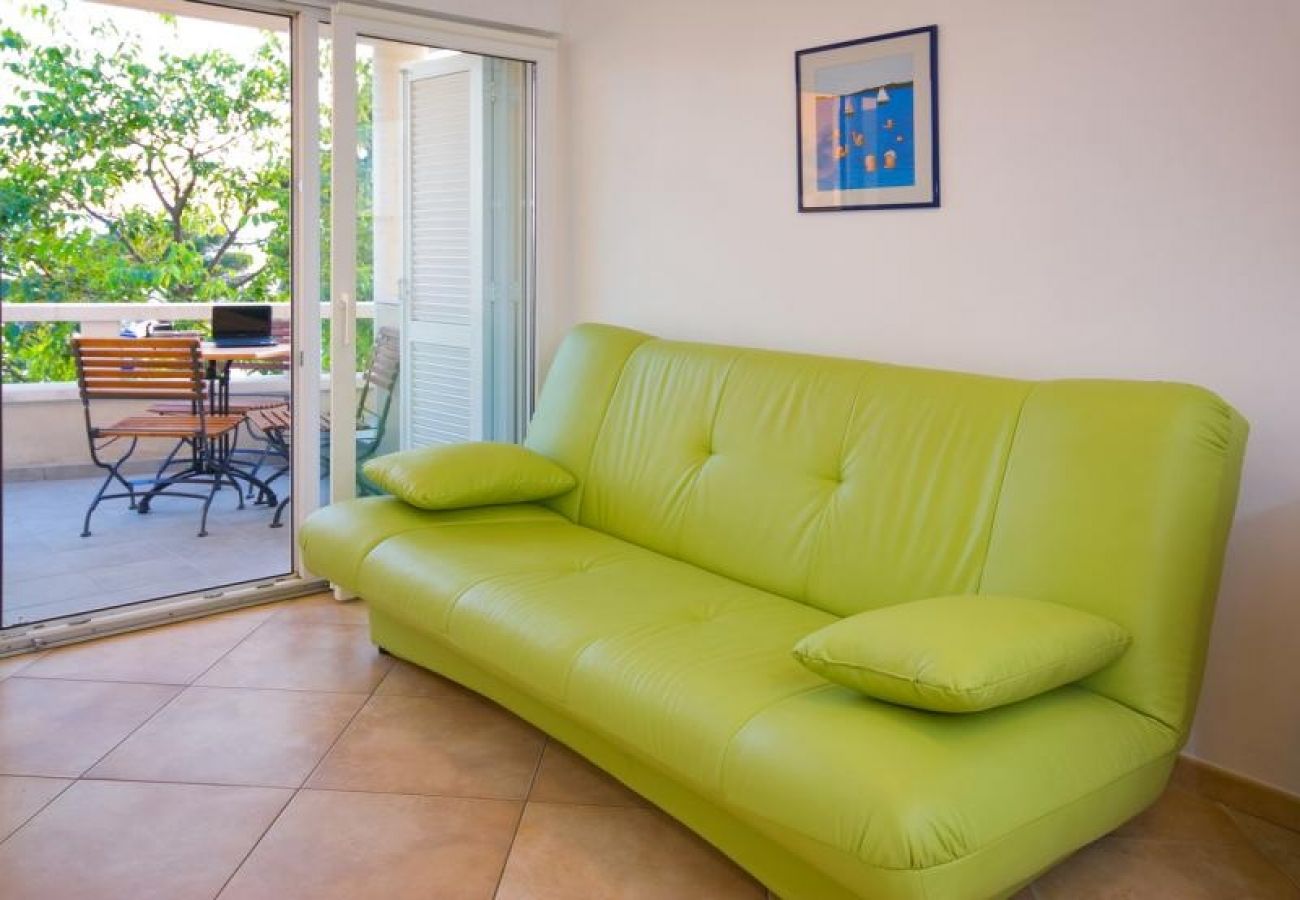 Apartment in Brela - Apartment in Brela with Seaview, Terrace, Air condition, WIFI (201-1)