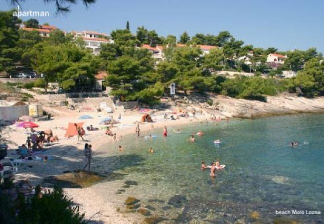 Apartment in Postira - Apartment in Postira with Seaview, Terrace, Air condition, WIFI (5124-1) Apartment in Postira - Apartment in Postira with Seaview, Terrace, Air condition, WIFI (5124-1)