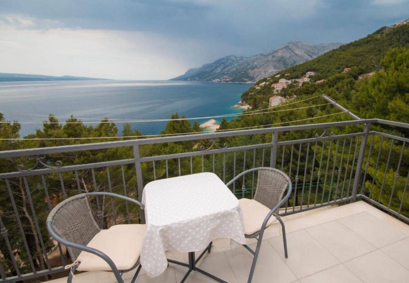 Apartment in Brela - Apartment in Brela with Seaview, Terrace, Air condition, WIFI (5122-1)